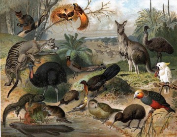 動物 Painting - 動物 カンガルー オーストラリアの動物